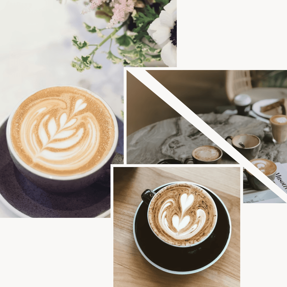 Specialty Coffee Prishtina - Tokbashqe Park Cafe